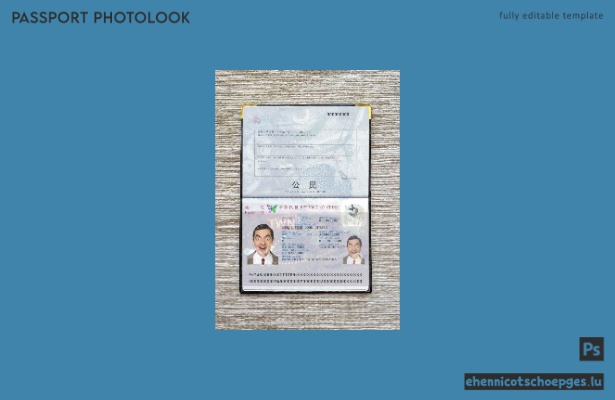 Beispielansicht eines taiwanesischen Passfotos